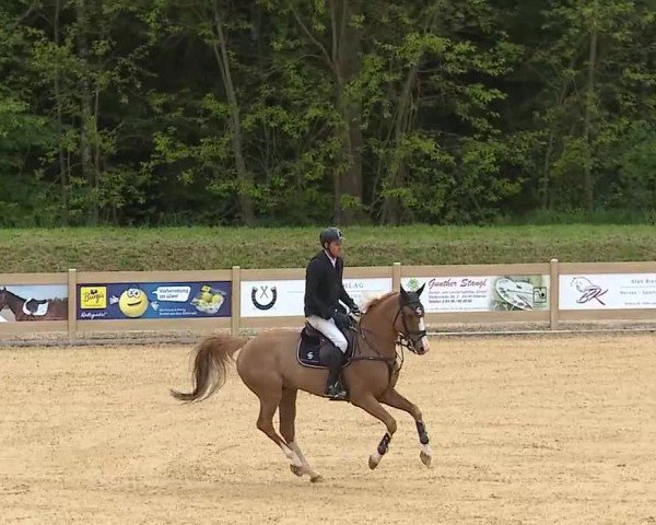 Reitturnier Tiefenhof/Opf. 2025