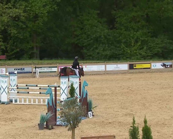 Reitturnier Tiefenhof/Opf. 2025