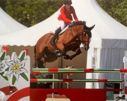 jumper Lord Holstein (Danish Warmblood, 2006, from Lord Z)