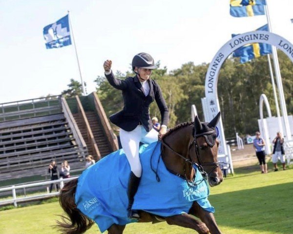 horse Carlsberg HE (Swedish Warmblood, 2015, from Clarimo Ask)