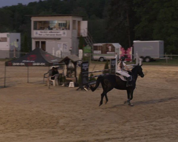 Reitturnier Büren 2025