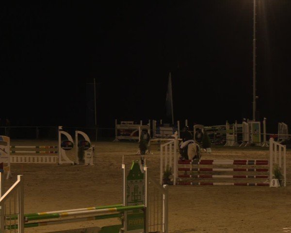 Reitturnier Büren 2025