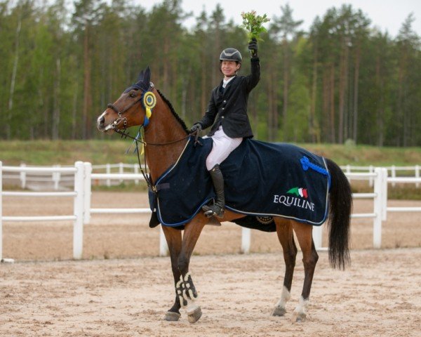 Springpferd Kataleis Isolde (Schwedisches Warmblut, 2010, von Diabeau)