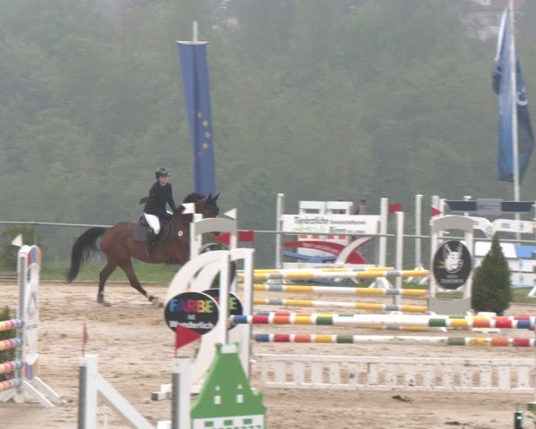 Reitturnier Büren 2025