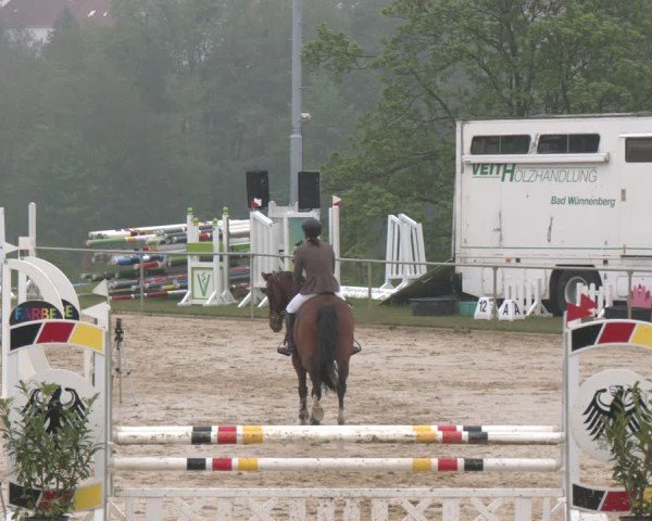 Reitturnier Büren 2025