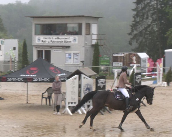Reitturnier Büren 2025