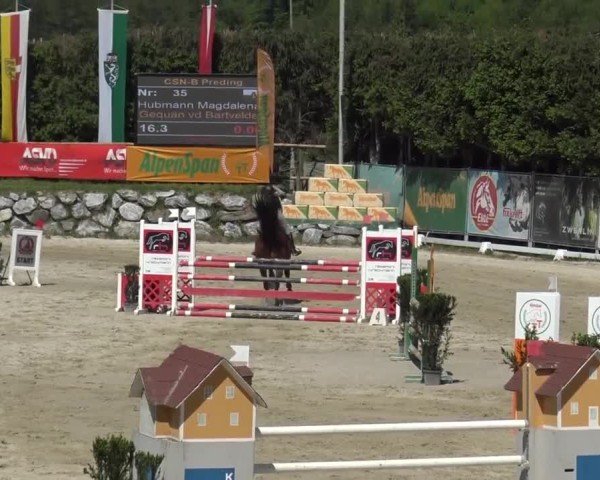 Reitturnier Preding 2025