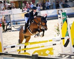 dressage horse Herbie the Heartbreaker (German Riding Pony, 2017, from Halifax)