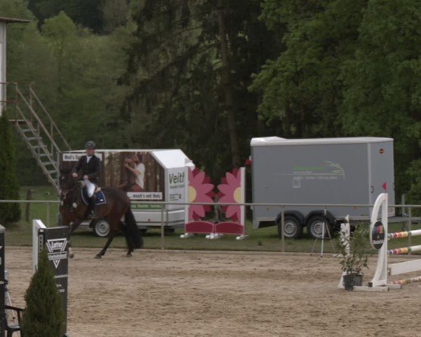 Reitturnier Büren 2025