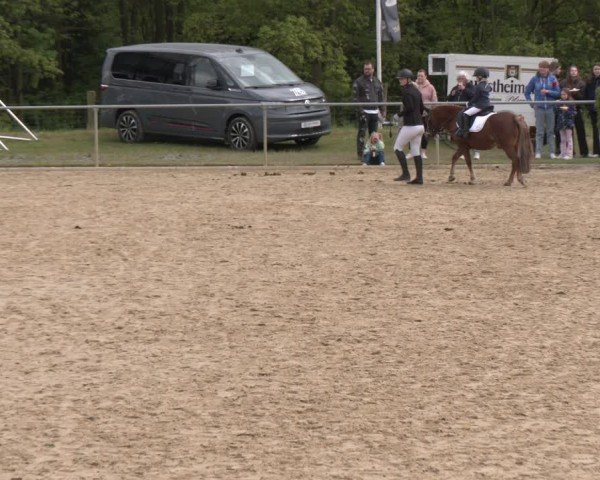 Reitturnier Büren 2025