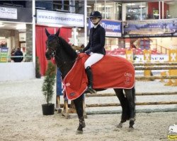 jumper Kilkillahara Beauty (Irish Sport Horse, 2011, from Ross Fear Bui)