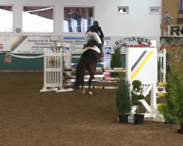 Hallenreitturnier Arnsberg-Voßwinkel 2014