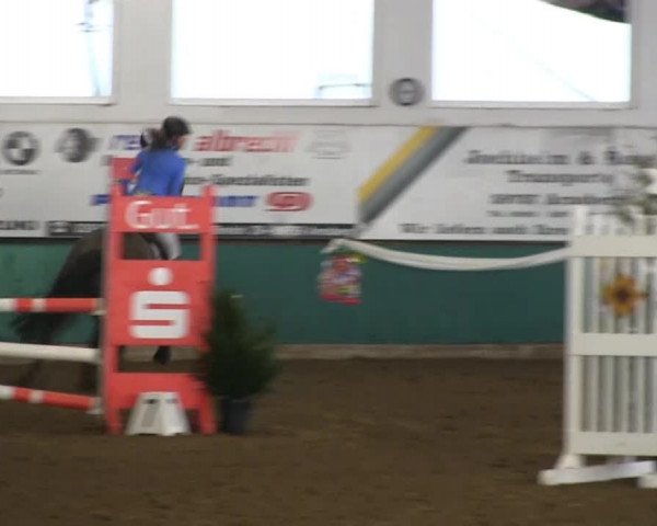 Hallenreitturnier Arnsberg-Voßwinkel 2014