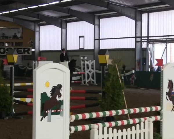 Hallenreitturnier Arnsberg-Voßwinkel 2014