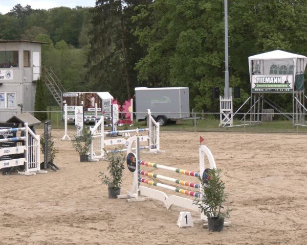 Reitturnier Büren 2025