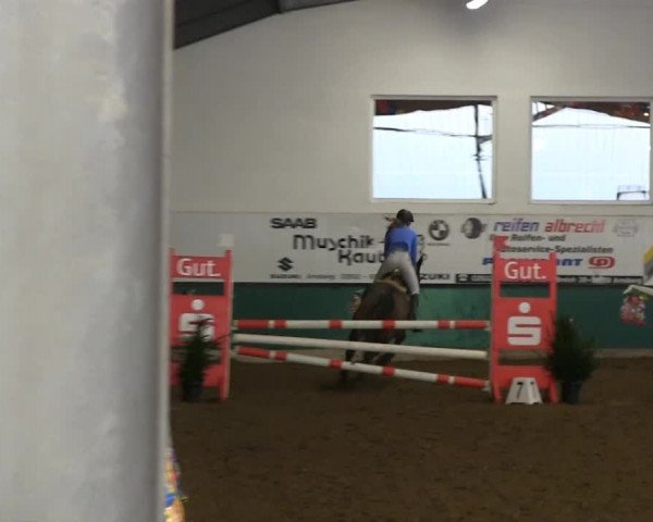Hallenreitturnier Arnsberg-Voßwinkel 2014