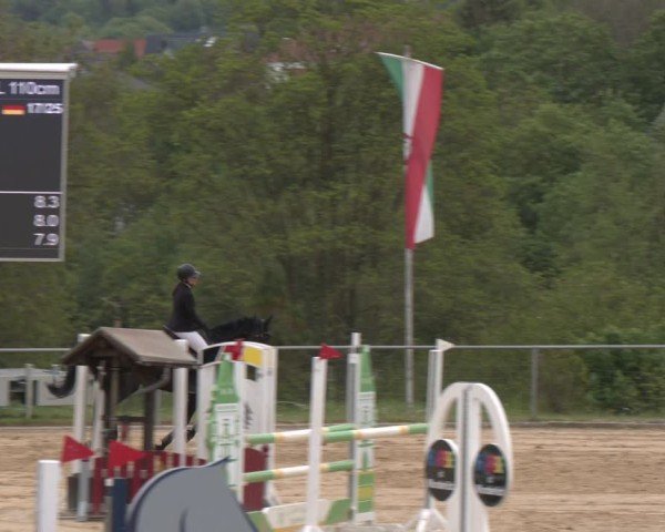 Reitturnier Büren 2025