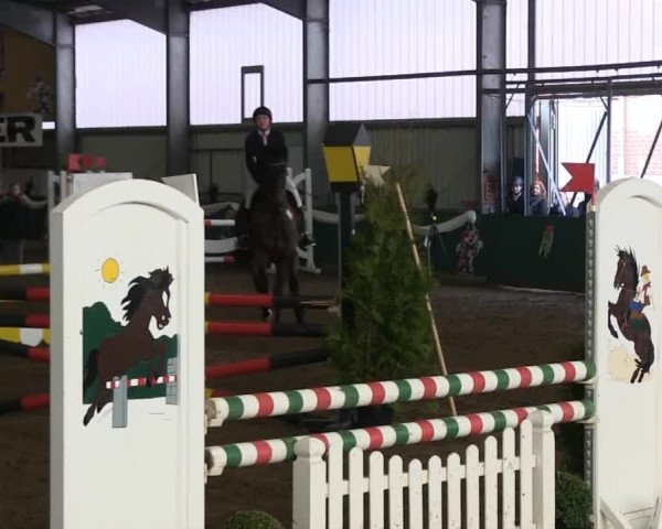 Hallenreitturnier Arnsberg-Voßwinkel 2014