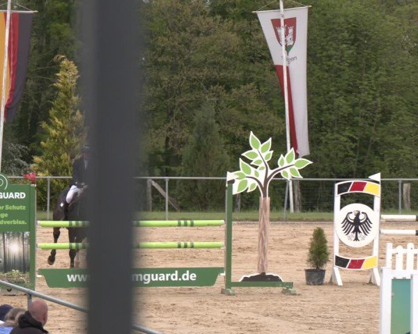 Reitturnier Büren 2025