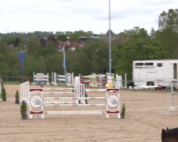 Reitturnier Büren 2025