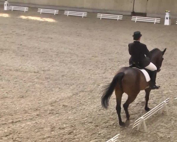 Hallenturnier Heidelberg-Kirchheim 2014