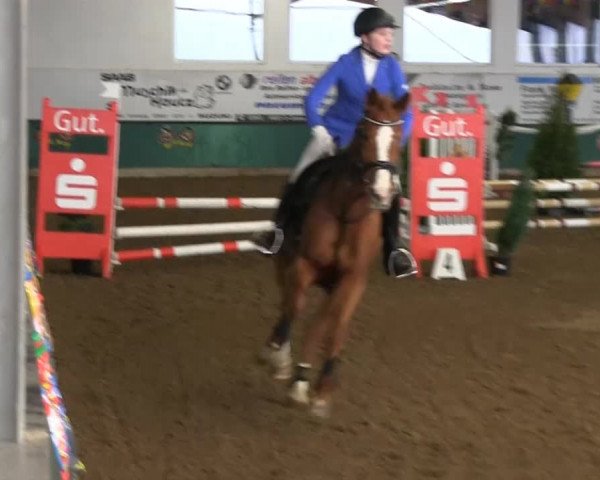 Hallenreitturnier Arnsberg-Voßwinkel 2014