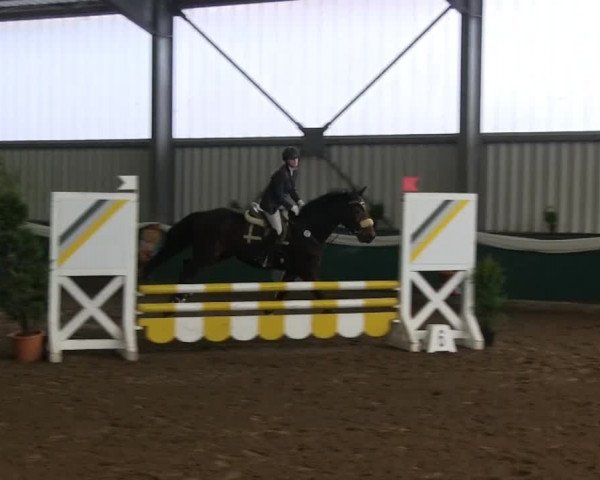 Hallenreitturnier Arnsberg-Voßwinkel 2014