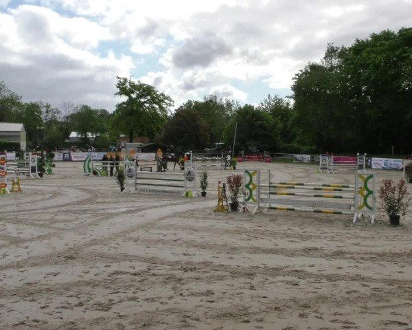 Reitturnier Hildesheim-Steuerwald 2025