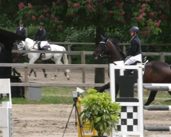 Reitturnier Hildesheim-Steuerwald 2025