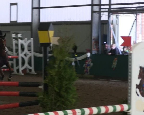 Hallenreitturnier Arnsberg-Voßwinkel 2014