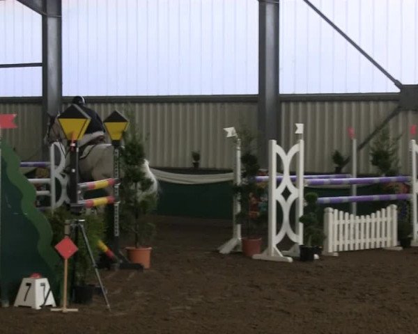Hallenreitturnier Arnsberg-Voßwinkel 2014