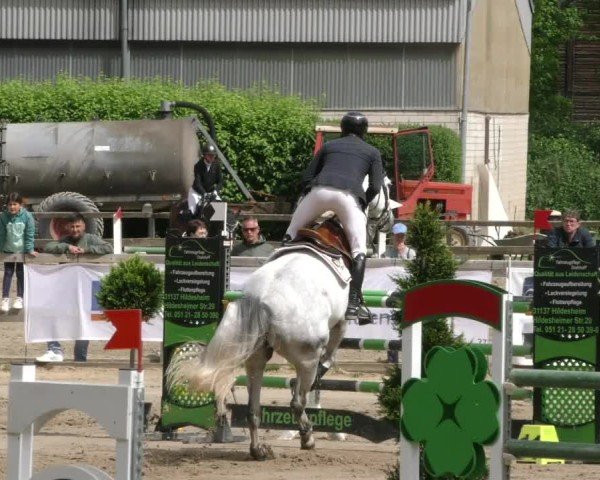Reitturnier Hildesheim-Steuerwald 2025