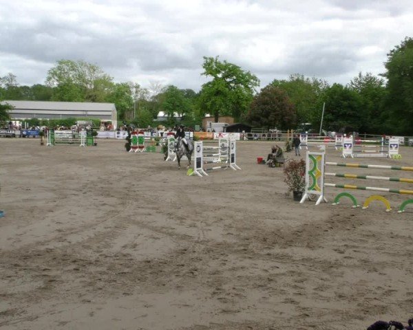 Reitturnier Hildesheim-Steuerwald 2025