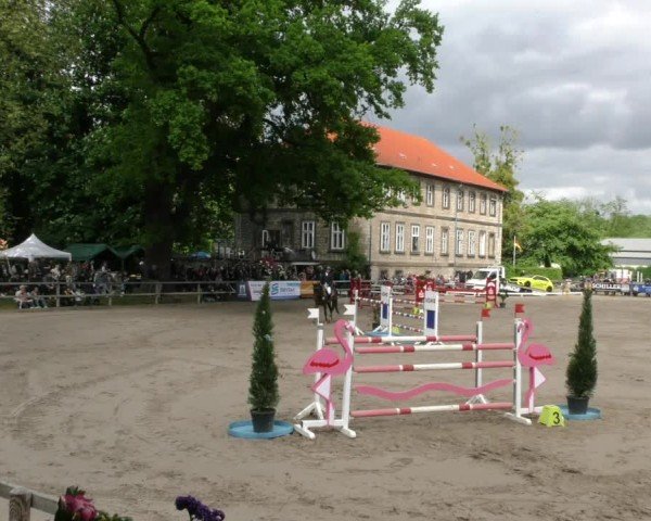 Reitturnier Hildesheim-Steuerwald 2025