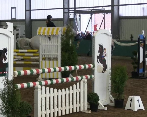 Hallenreitturnier Arnsberg-Voßwinkel 2014
