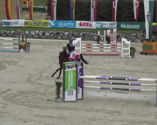 Reitturnier Preding 2025