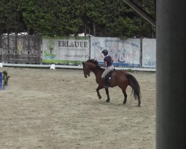 Reitturnier Preding 2025