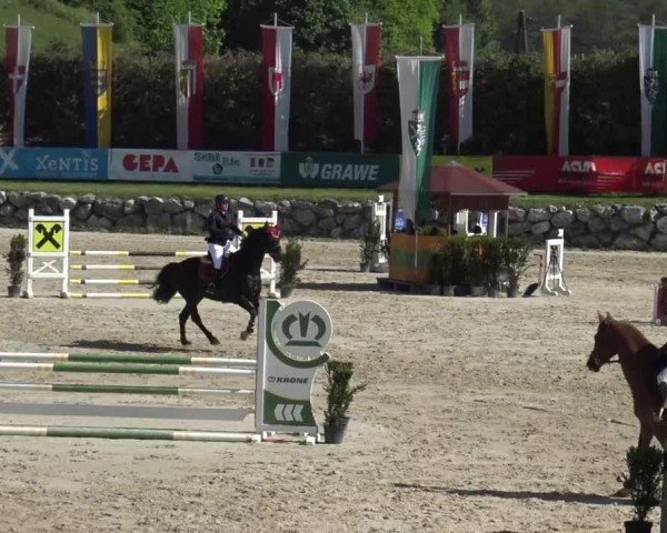 Reitturnier Preding 2025