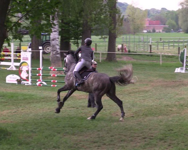 Reitturnier Derenburg 2025