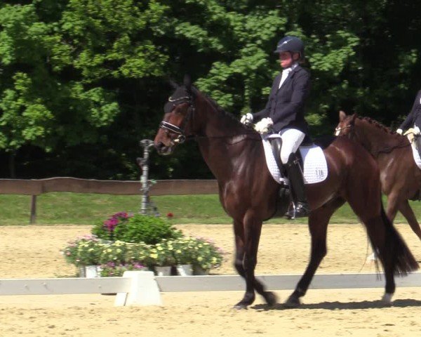 Reitturnier Wesel-Obrighoven 2025
