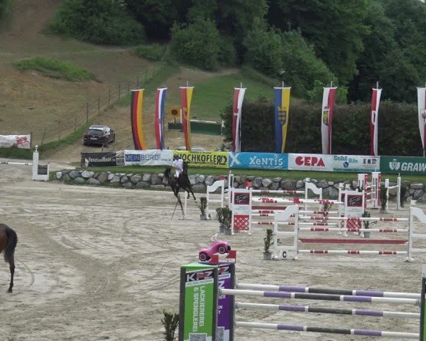Reitturnier Preding 2025