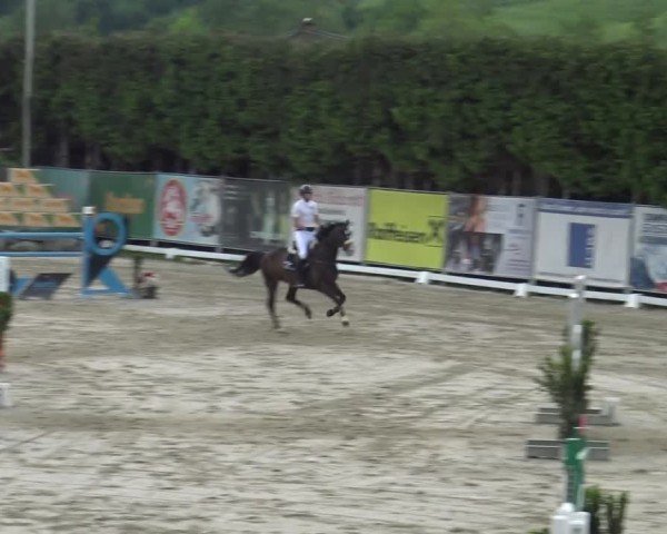 Reitturnier Preding 2025