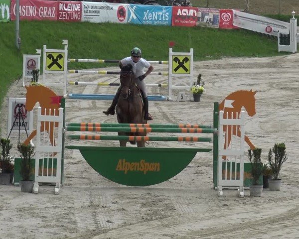 Reitturnier Preding 2025
