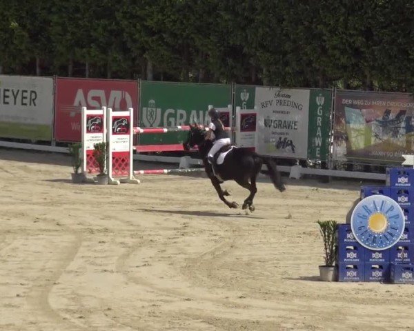 Reitturnier Preding 2025