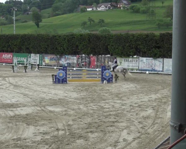 Reitturnier Preding 2025