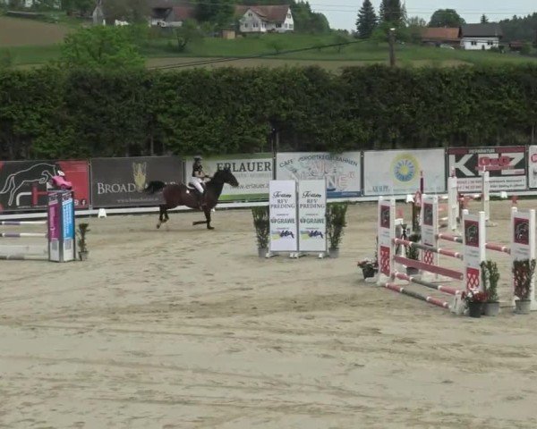 Reitturnier Preding 2025