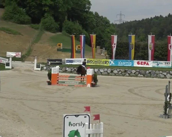 Reitturnier Preding 2025