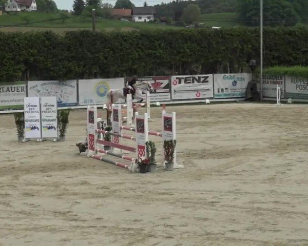 Reitturnier Preding 2025