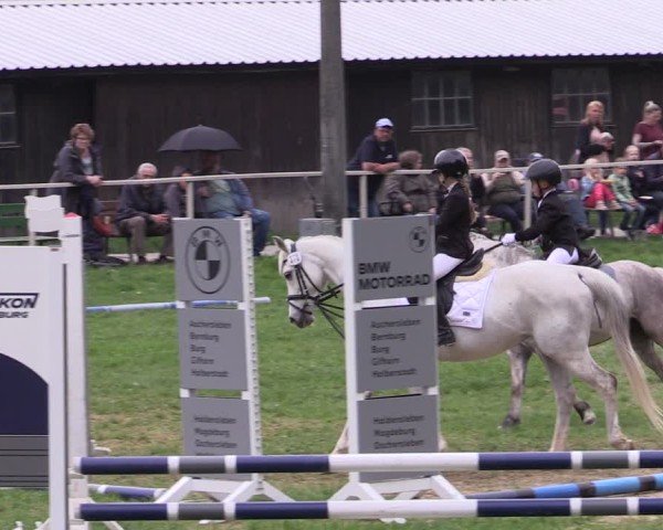 Reitturnier Derenburg 2025
