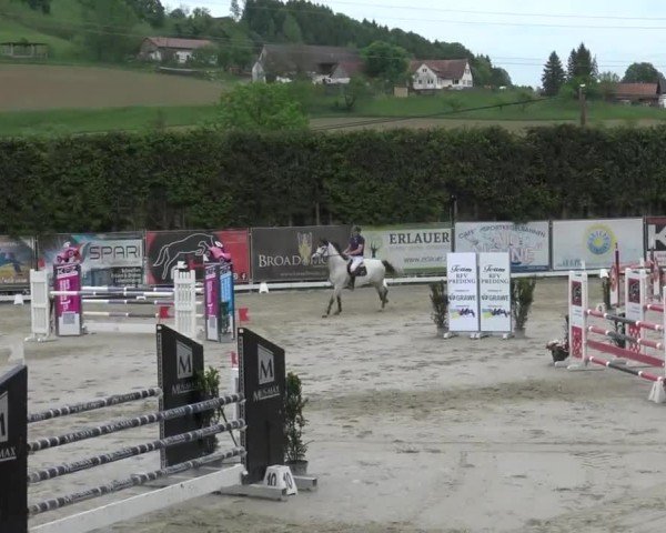 Reitturnier Preding 2025